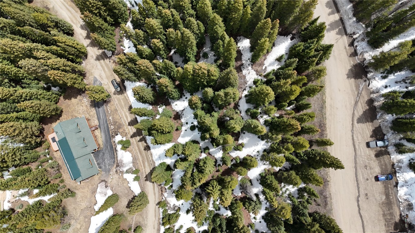 3362 Boreas Pass Road Breckenridge, CO 80424 - Photo 5 of 15 a view of a tree