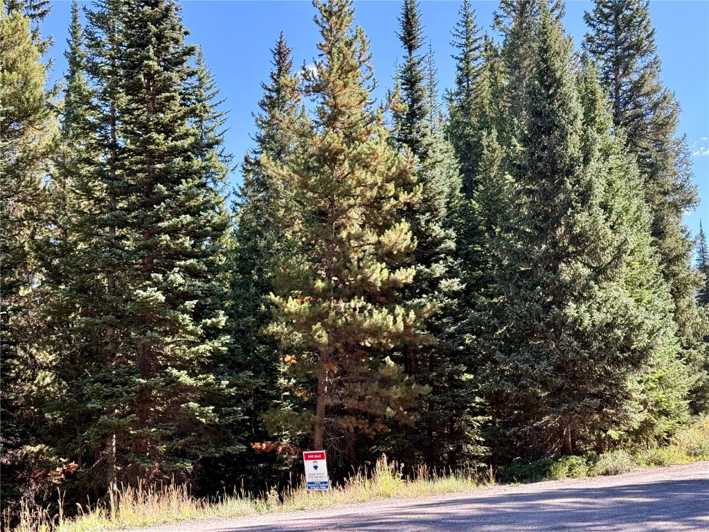 3362 Boreas Pass Road Breckenridge, CO 80424 - Photo 10 of 15 a view of tree