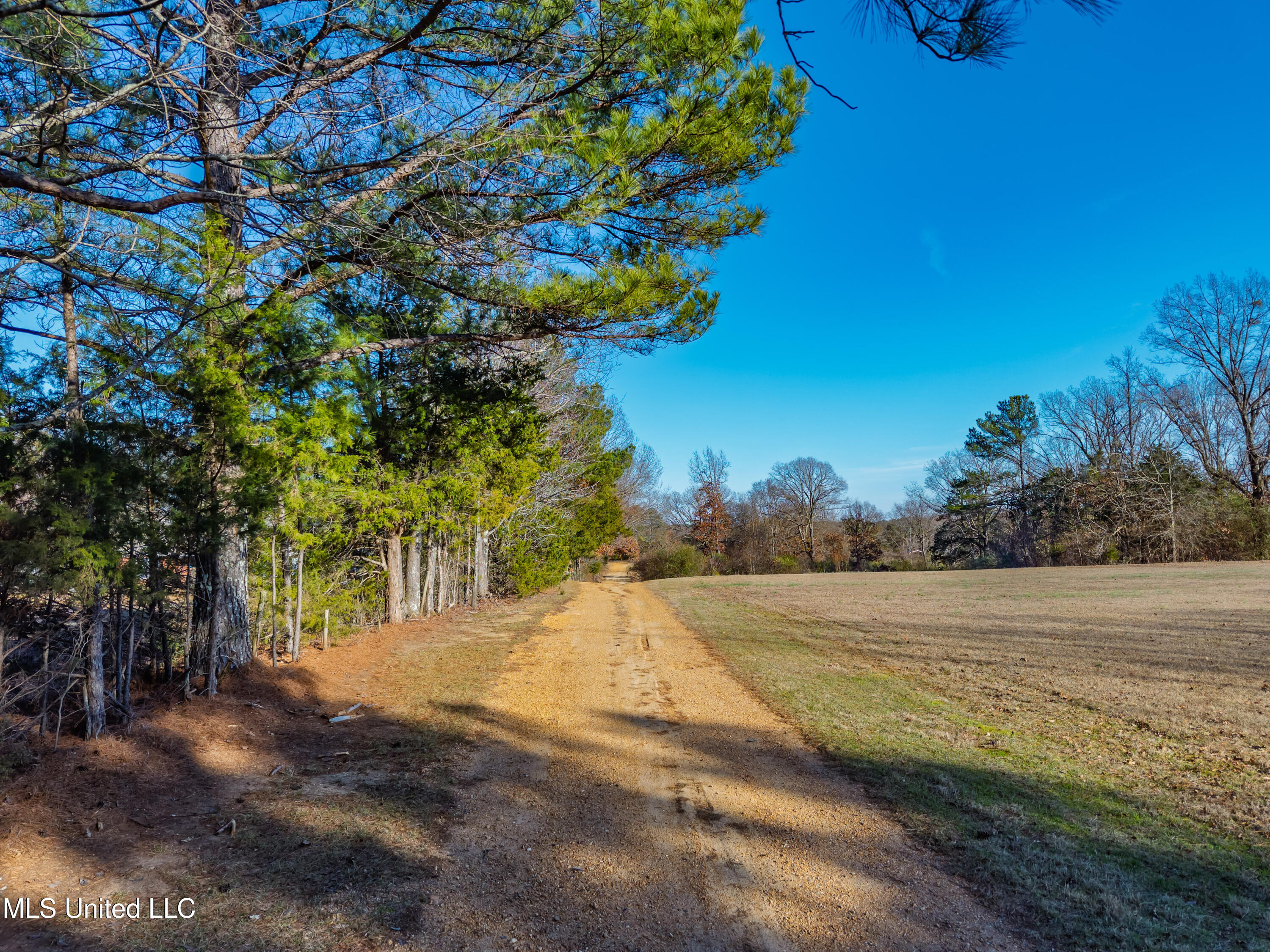 8088 Pope Crowder Road Pope, MS 38658 - Photo 28 of 82 8088 Pope Crowder Rd Pope MS_2026-01-20_