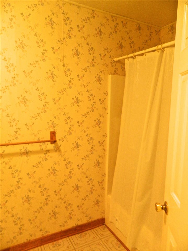 2940 Courthouse Road Louisa, VA 23093 - Photo 3 of 4 a bathroom with a shower