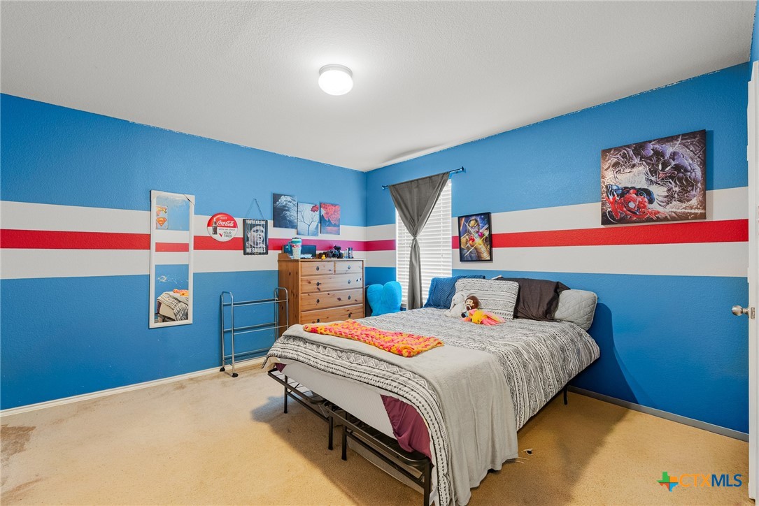 8902 Night View Drive Temple, TX 76502 - Photo 20 of 29 BR4