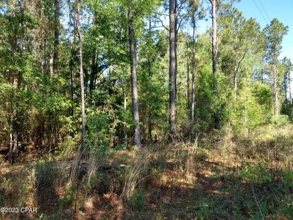$50,000 | Tbd Little John Lane, Bonifay, FL 32425