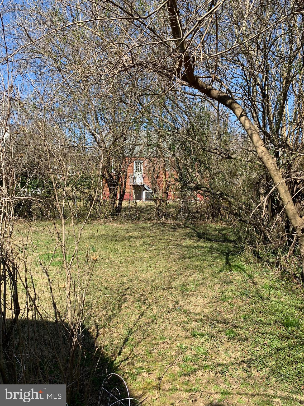 305 Ladson Road Silver Spring, MD 20901 - Photo 5 of 6