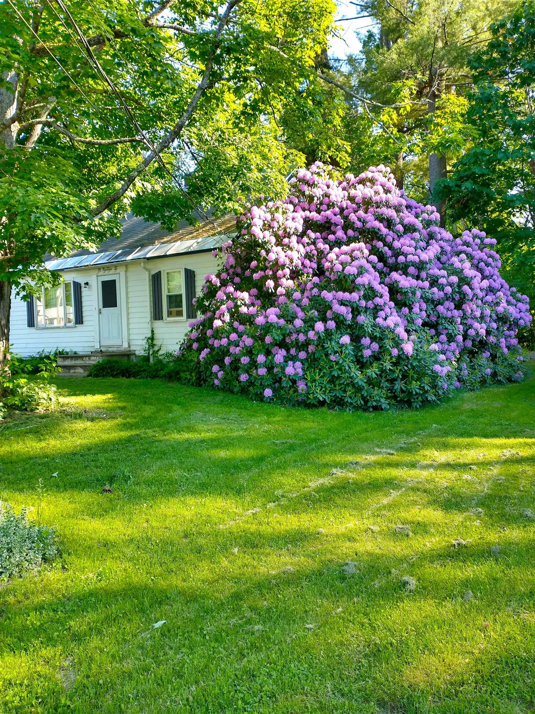 19 Nutter Street Rochester, NH 03867 - Photo 11 of 19