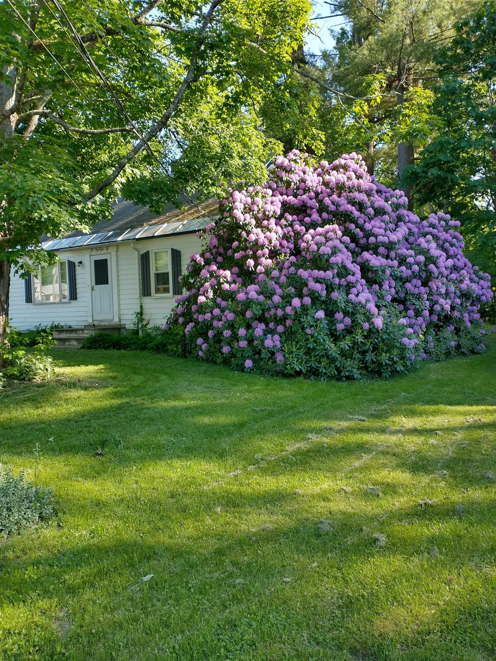 19 Nutter Street Rochester, NH 03867 - Photo 2 of 19