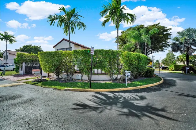 a view of a park with palm trees