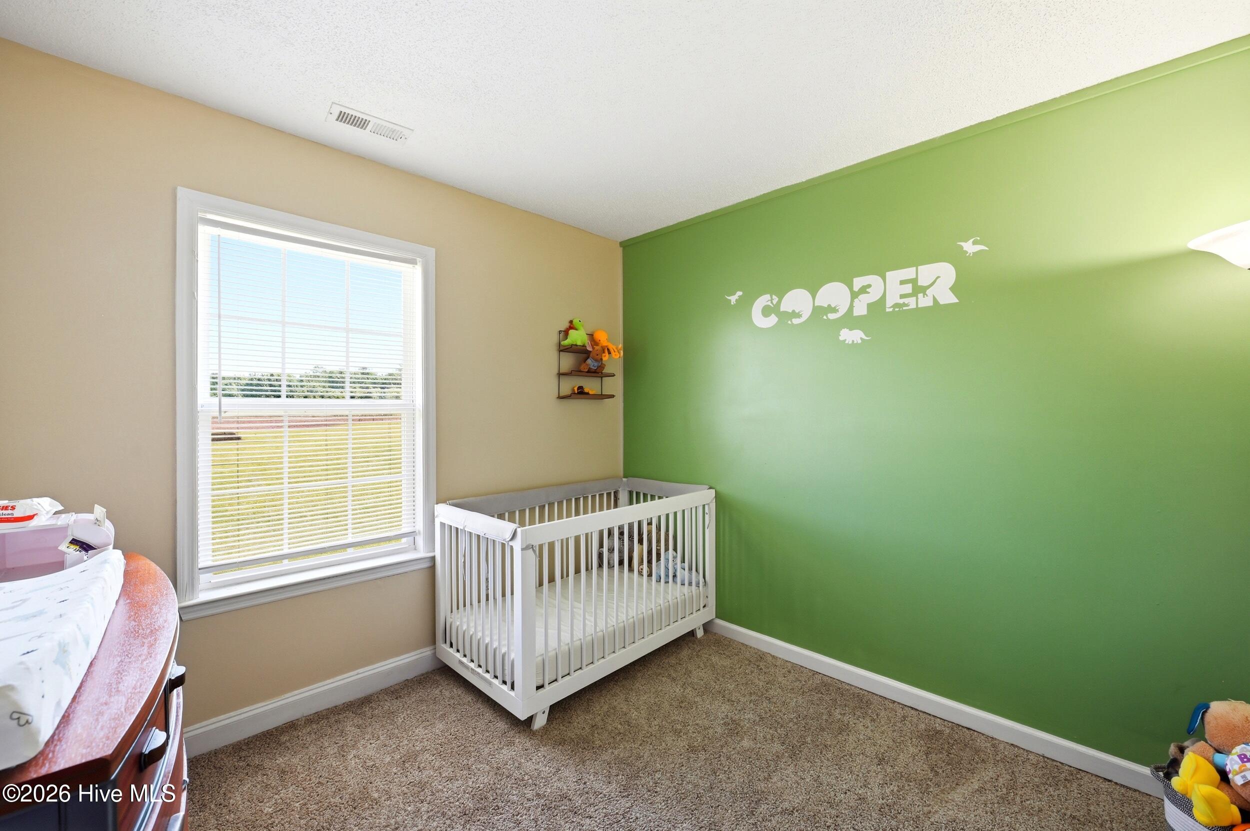 380 Swinson Road Maple Hill, NC 28454 - Photo 24 of 56 Bedroom 2