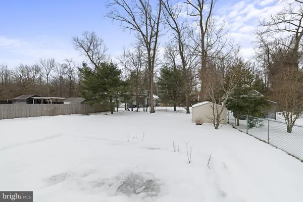 a view of snow with trees
