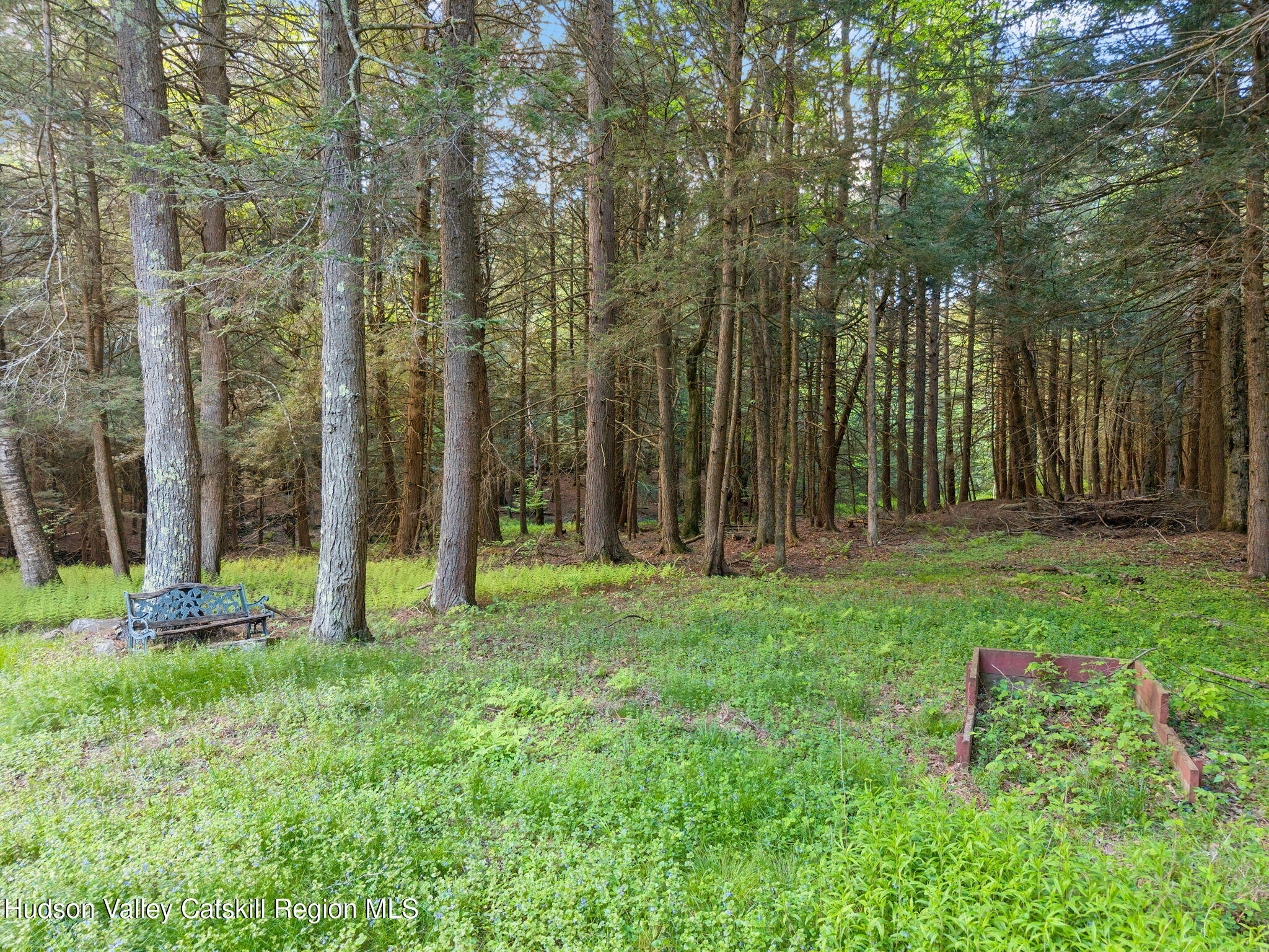 202 Blakesley Road, Unit PRIVATE Gilboa, NY 12076 - Photo 38 of 45 43
