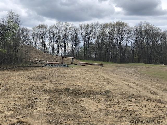 8 Sterling Ridge Colonie, NY 12211 - Photo 25 of 26 Photo 21