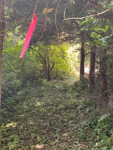 a view of a yard with an outdoor space