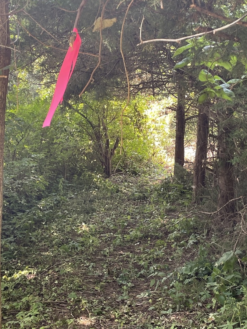 3850 East 2609th Road Sheridan, IL 60551 - Photo 2 of 12 a view of a yard with an outdoor space