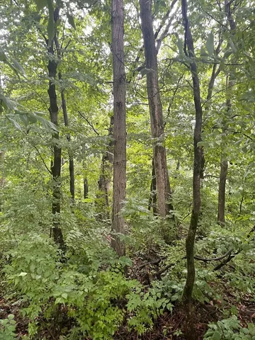 a view of outdoor space and green space