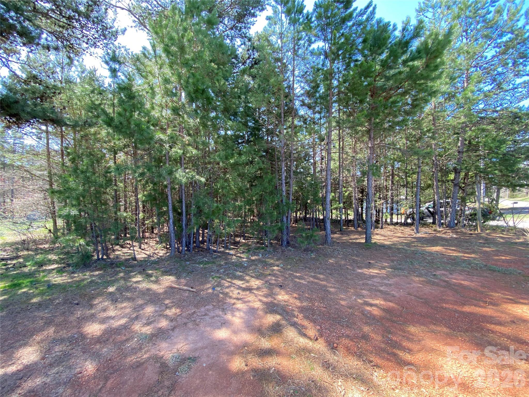 1670 Buck Oak Road Lincolnton, NC 28092 - Photo 5 of 7 Gallery Image 5