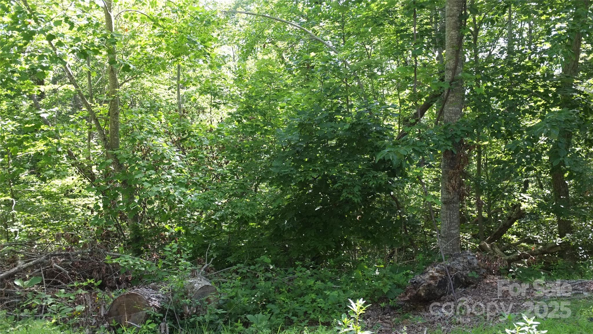 0 Sunset Ridge Drive, Unit LOT #21 Columbus, NC 28722 - Photo 2 of 11 a view of a lush green forest