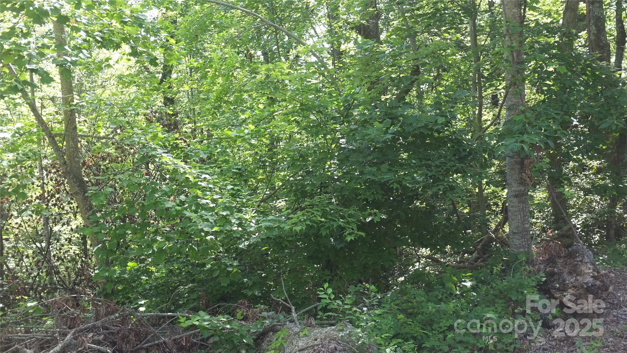 0 Sunset Ridge Drive, Unit LOT #21 Columbus, NC 28722 - Photo 3 of 11 a view of a lush green forest