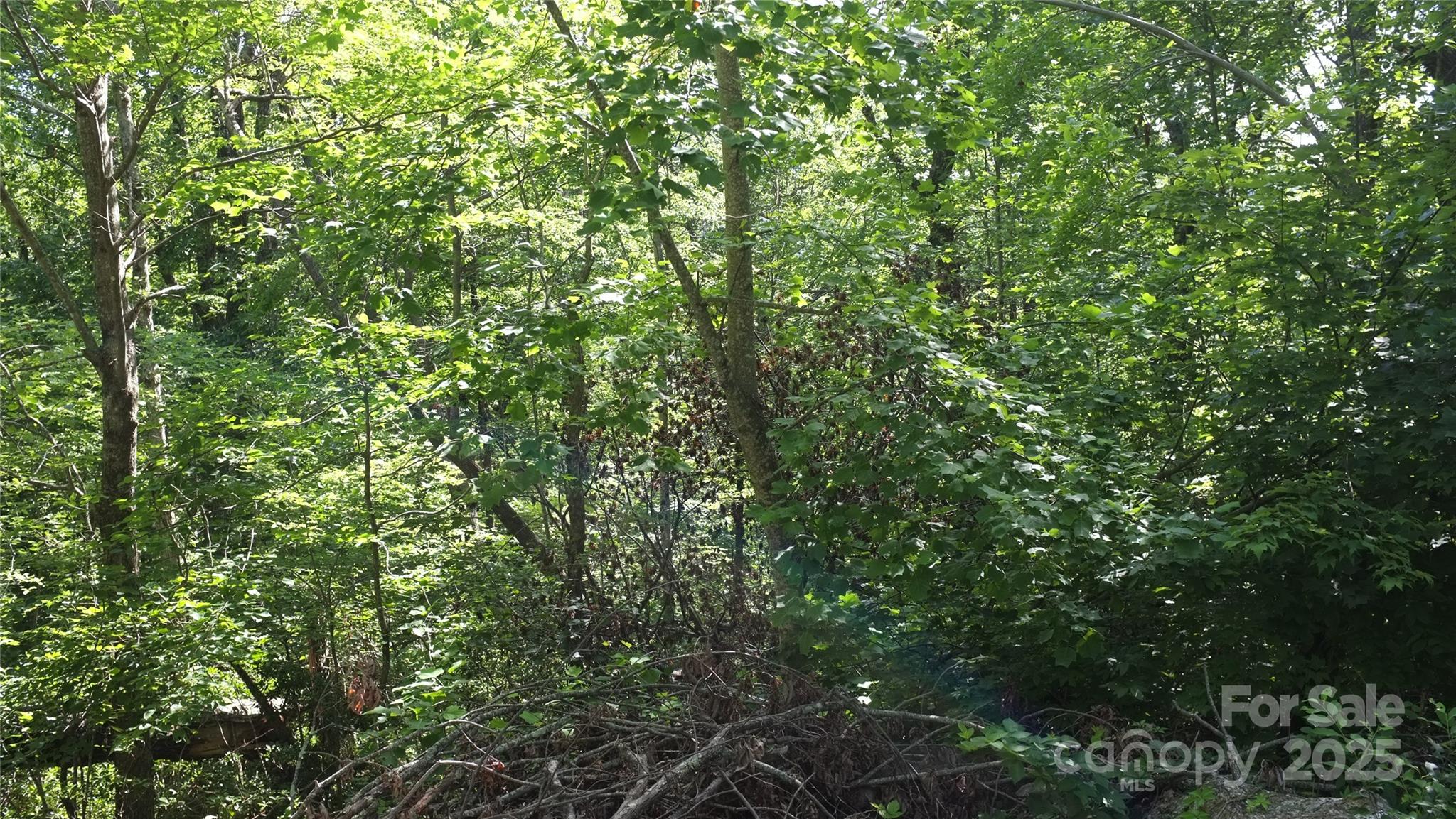 0 Sunset Ridge Drive, Unit LOT #21 Columbus, NC 28722 - Photo 4 of 11 a view of a lush green forest