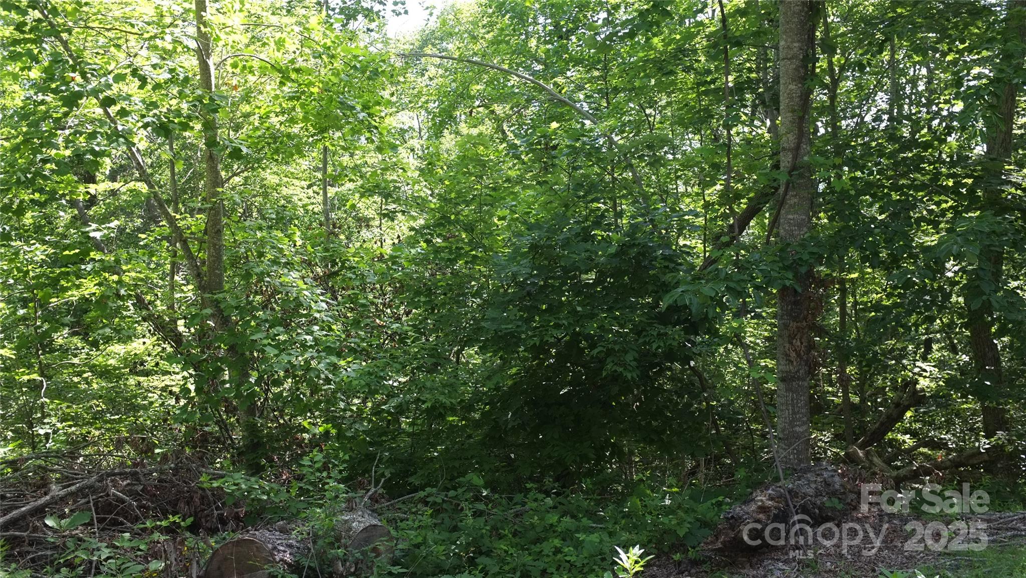 0 Sunset Ridge Drive, Unit LOT #21 Columbus, NC 28722 - Photo 5 of 11 a view of a lush green forest