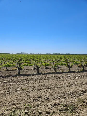 $787,800 | 0 North, Kerman, CA 93630