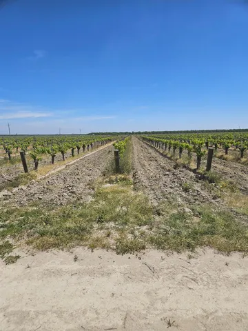 $787,800 | 0 North, Kerman, CA 93630