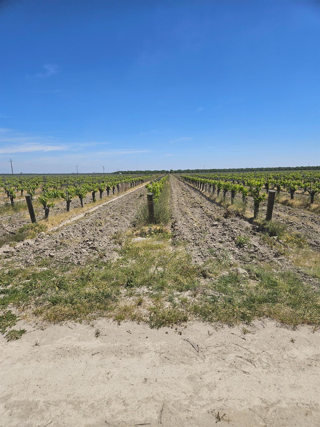 0 North Kerman, CA 93630 - Photo 2 of 3