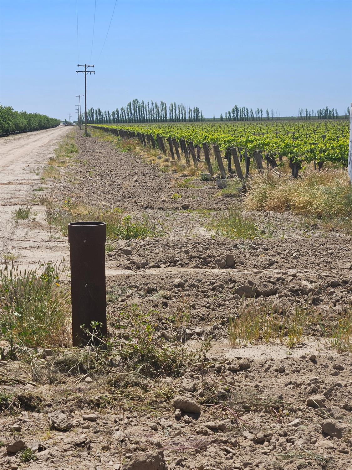 0 North Kerman, CA 93630 - Photo 3 of 3