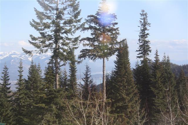 Lot 4 Mikas View Sagle, ID 83860 - Photo 1 of 1 View