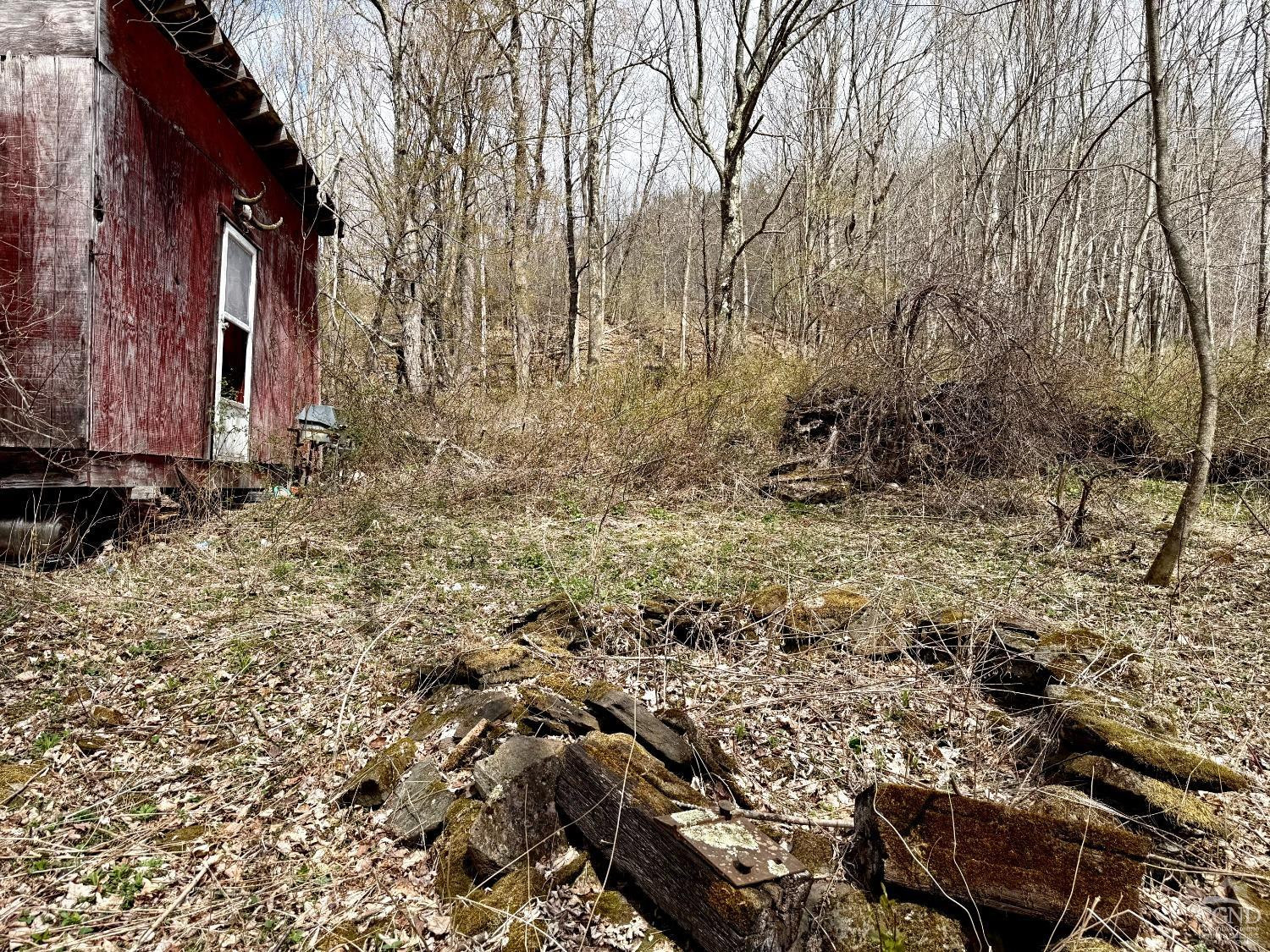 0 Charles Dent Road Prattsville, NY 12468 - Photo 14 of 21 a view of a yard with trees