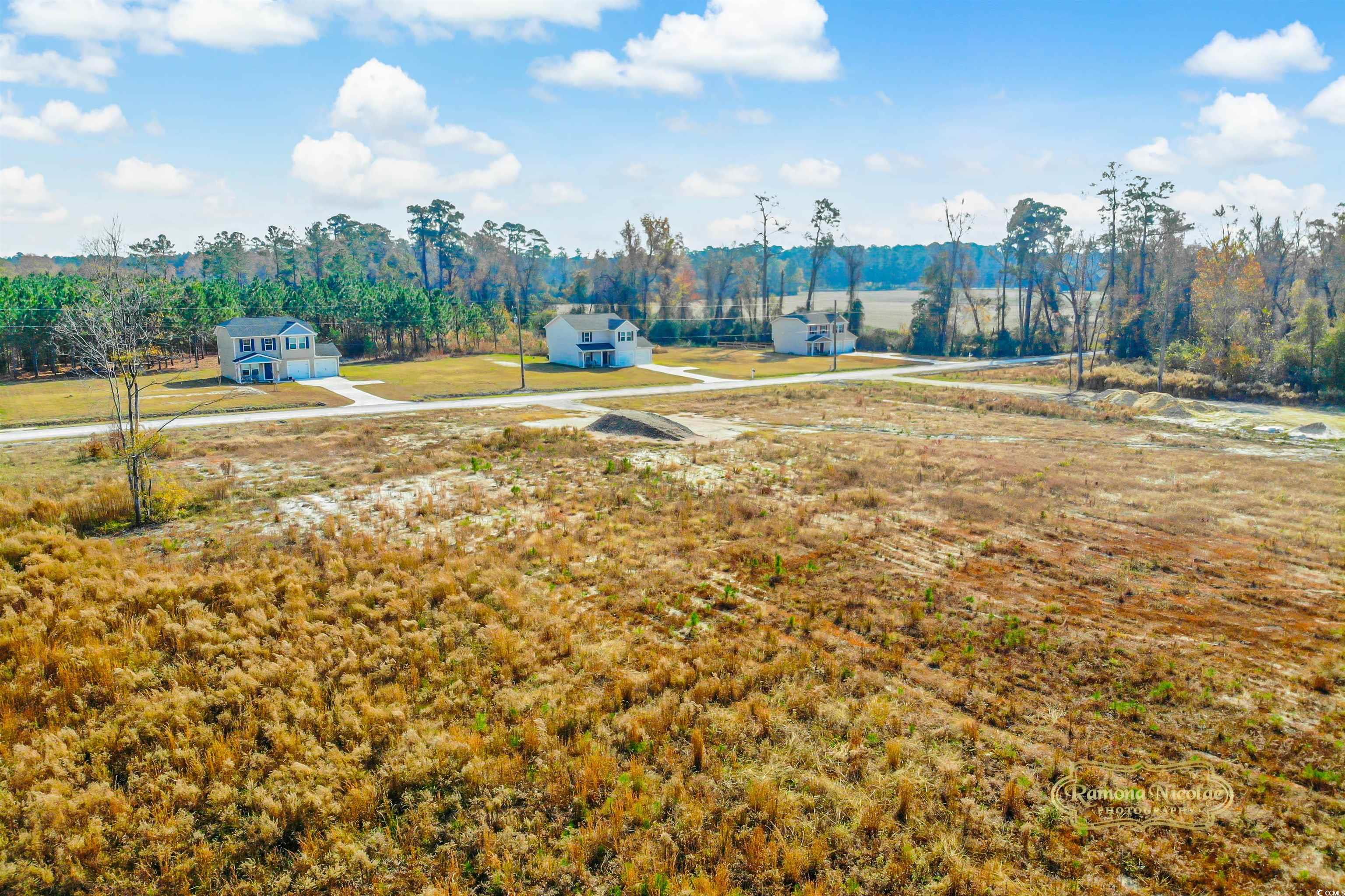 2820 Scarbrough Drive Loris, SC 29569 - Photo 12 of 12