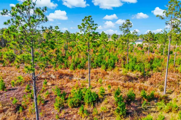 $136,000 | 2820 Scarbrough Drive, Loris, SC 29569