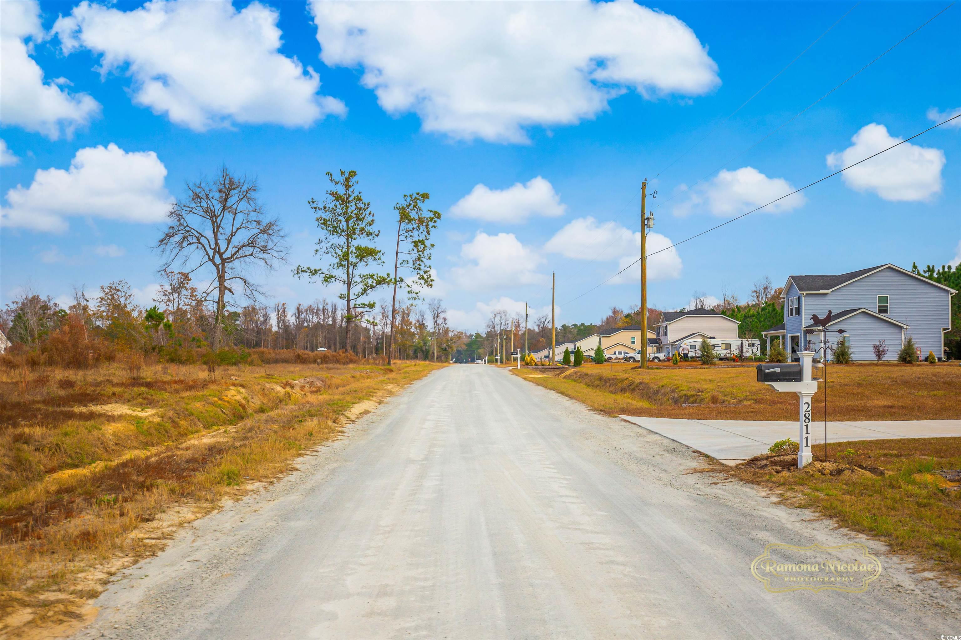 2820 Scarbrough Drive Loris, SC 29569 - Photo 3 of 12