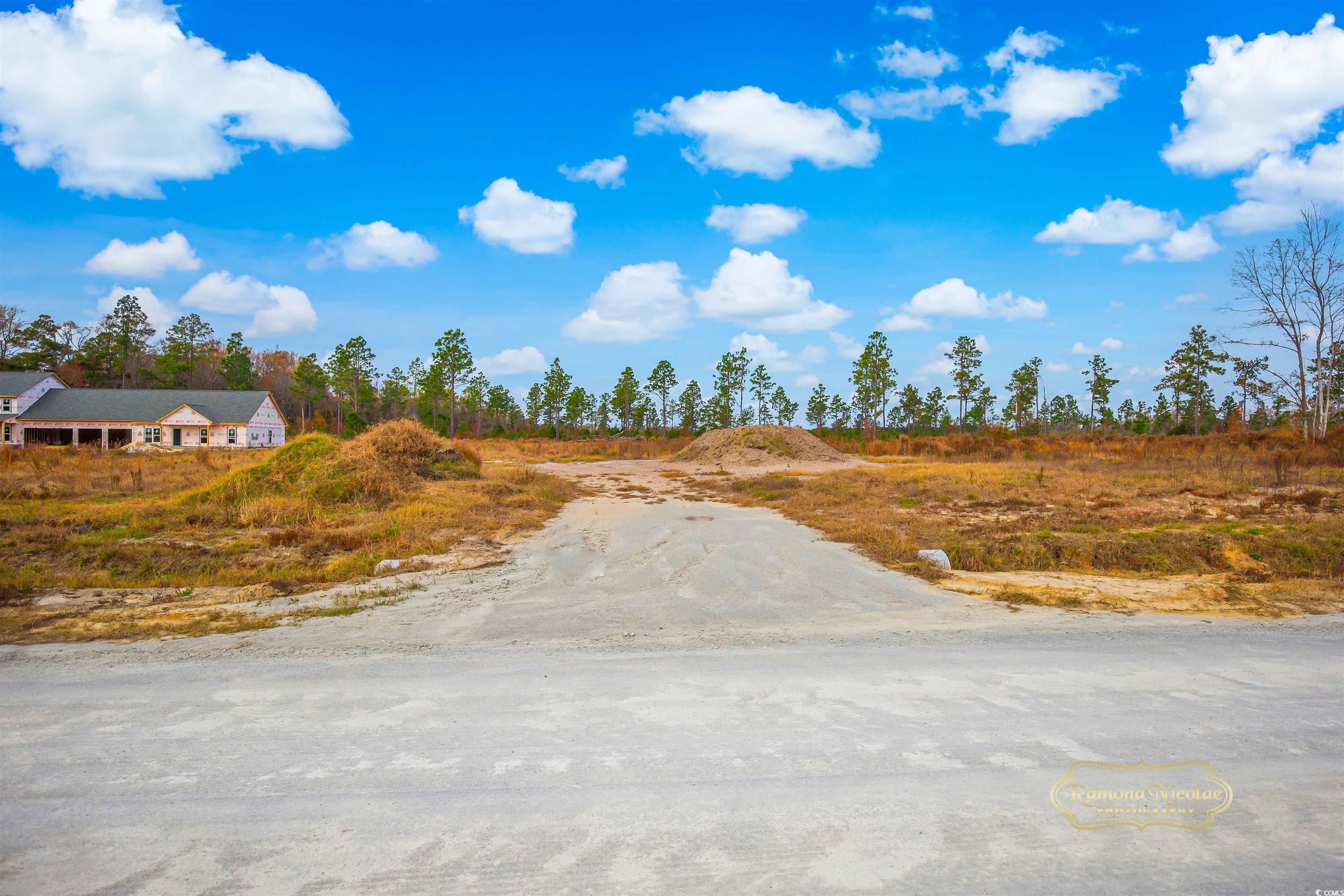 2820 Scarbrough Drive Loris, SC 29569 - Photo 4 of 12