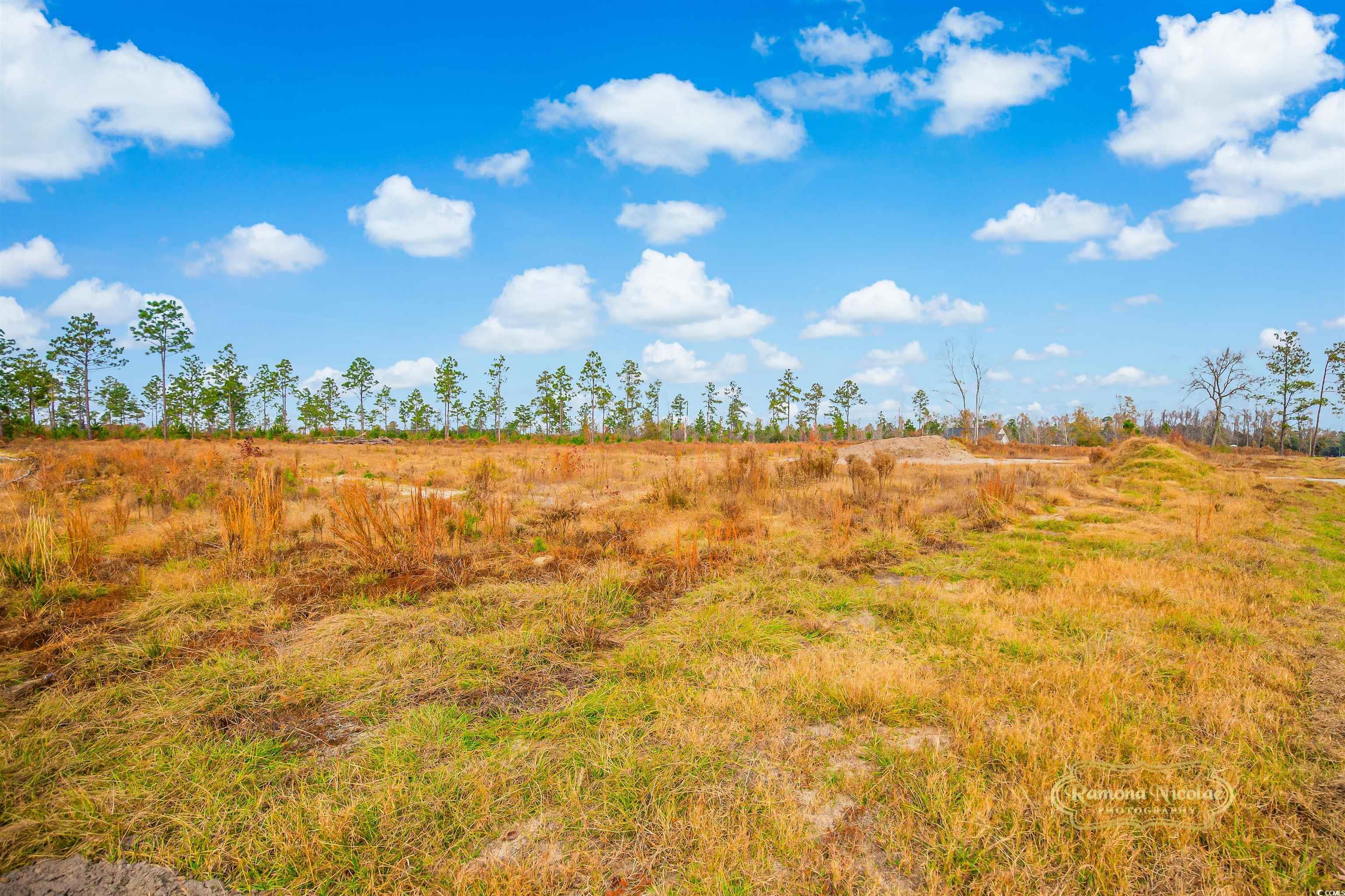2820 Scarbrough Drive Loris, SC 29569 - Photo 6 of 12