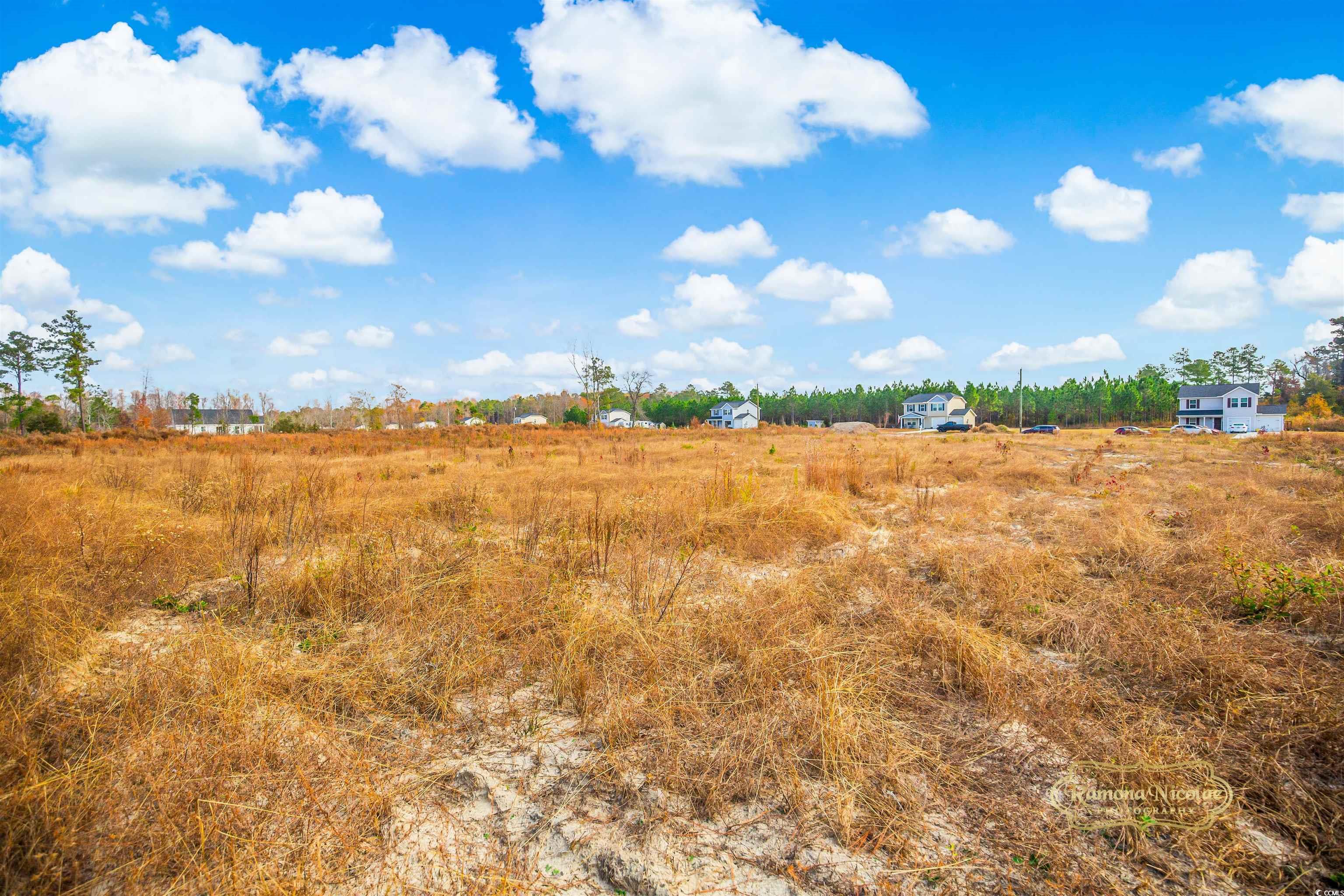 2820 Scarbrough Drive Loris, SC 29569 - Photo 7 of 12