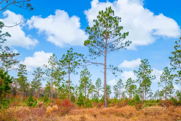 $136,000 | 2820 Scarbrough Drive, Loris, SC 29569