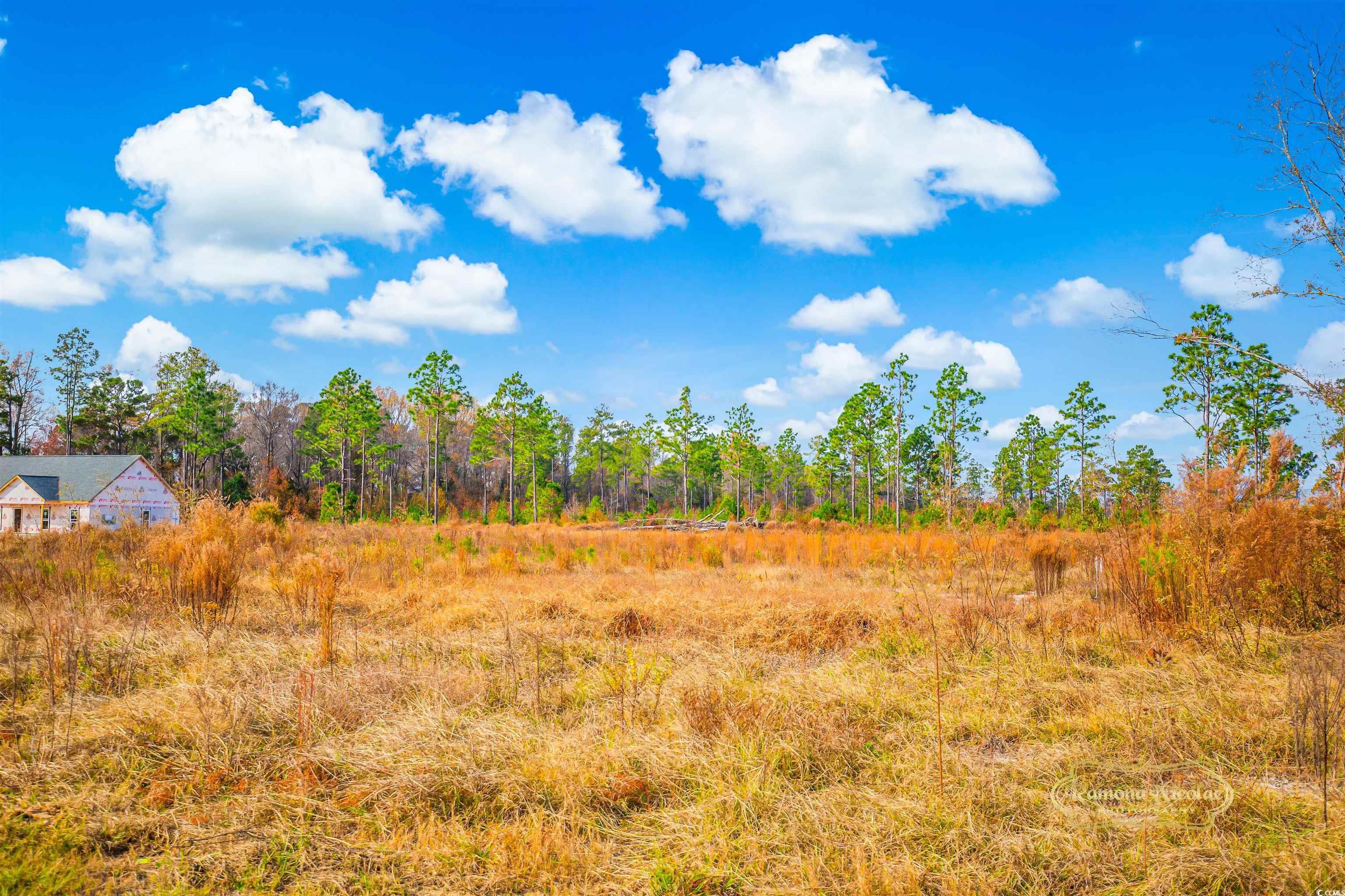 2820 Scarbrough Drive Loris, SC 29569 - Photo 9 of 12