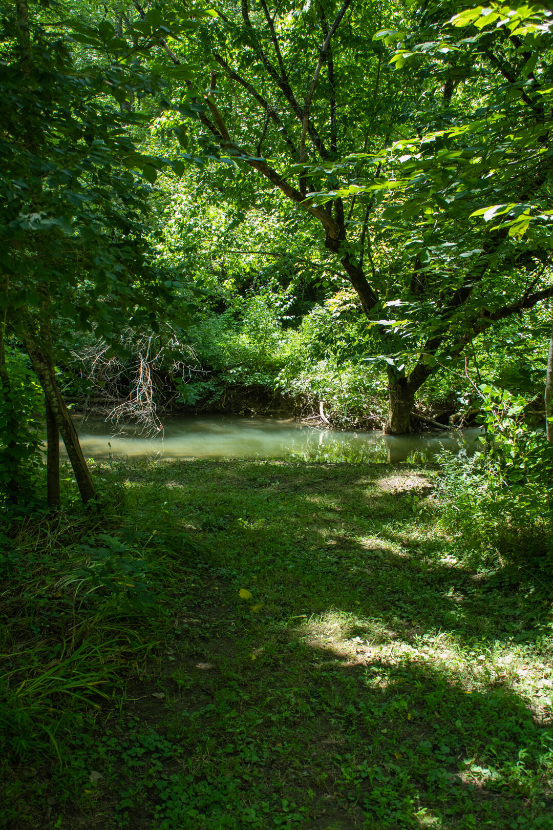 1700 Paperville Road Bristol, TN 37620 - Photo 25 of 31 07.26.22_Shaffer-34