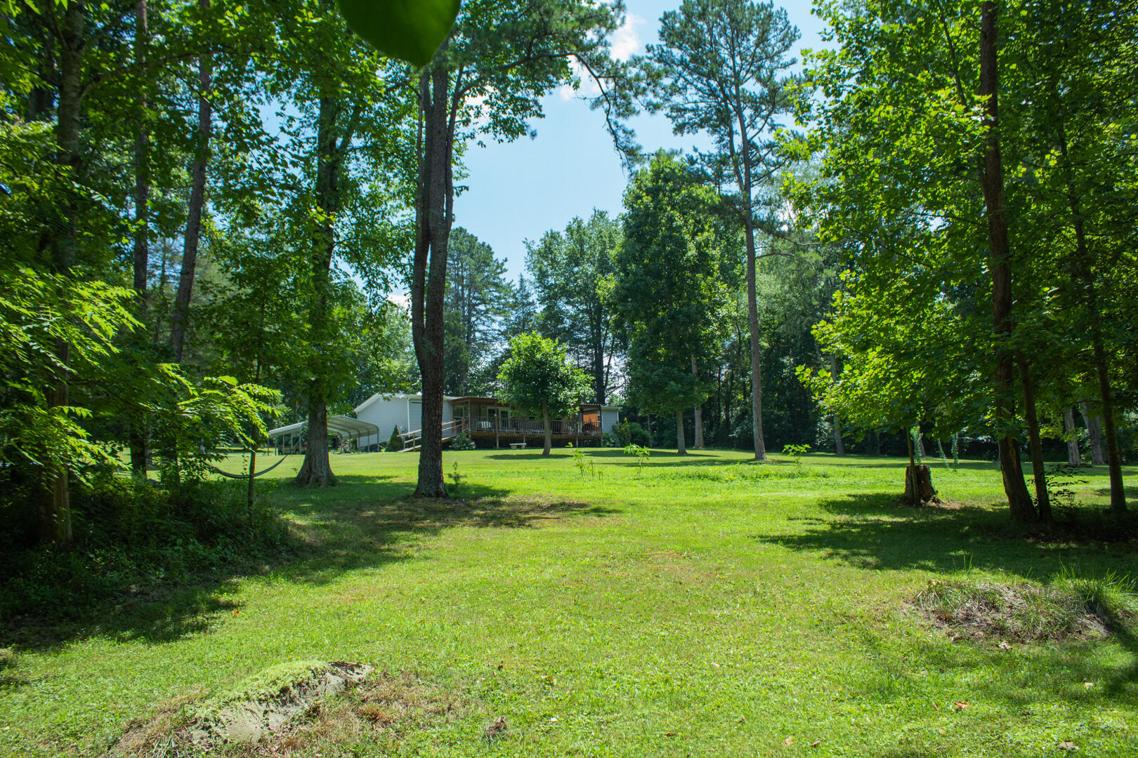 1700 Paperville Road Bristol, TN 37620 - Photo 26 of 31 07.26.22_Shaffer-32