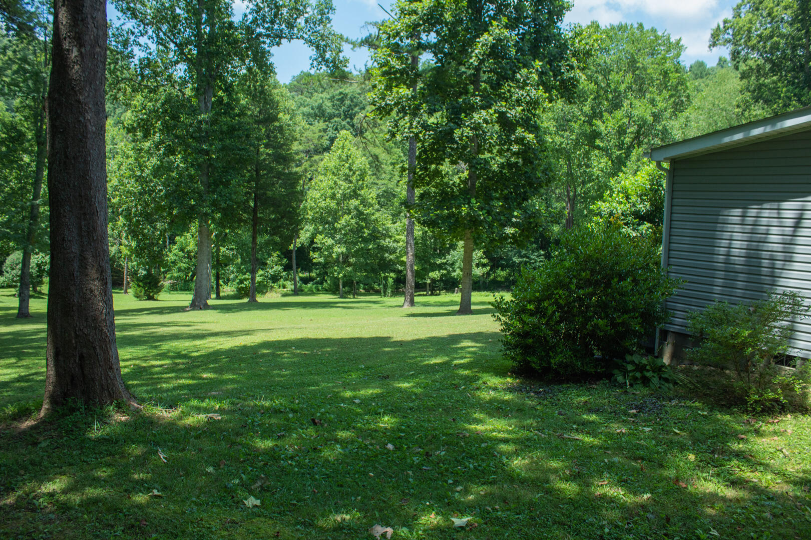 1700 Paperville Road Bristol, TN 37620 - Photo 8 of 31 07.26.22_Shaffer-18