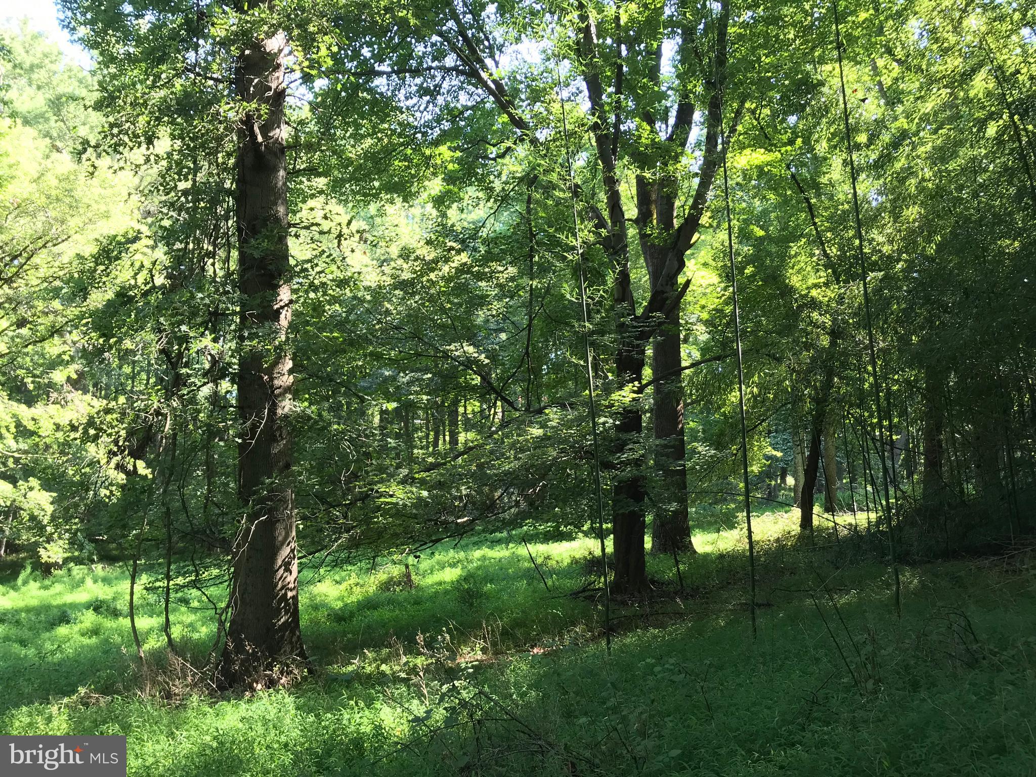 536 Ednor Road Ashton, MD 20861 - Photo 20 of 26 View of Property Acreage