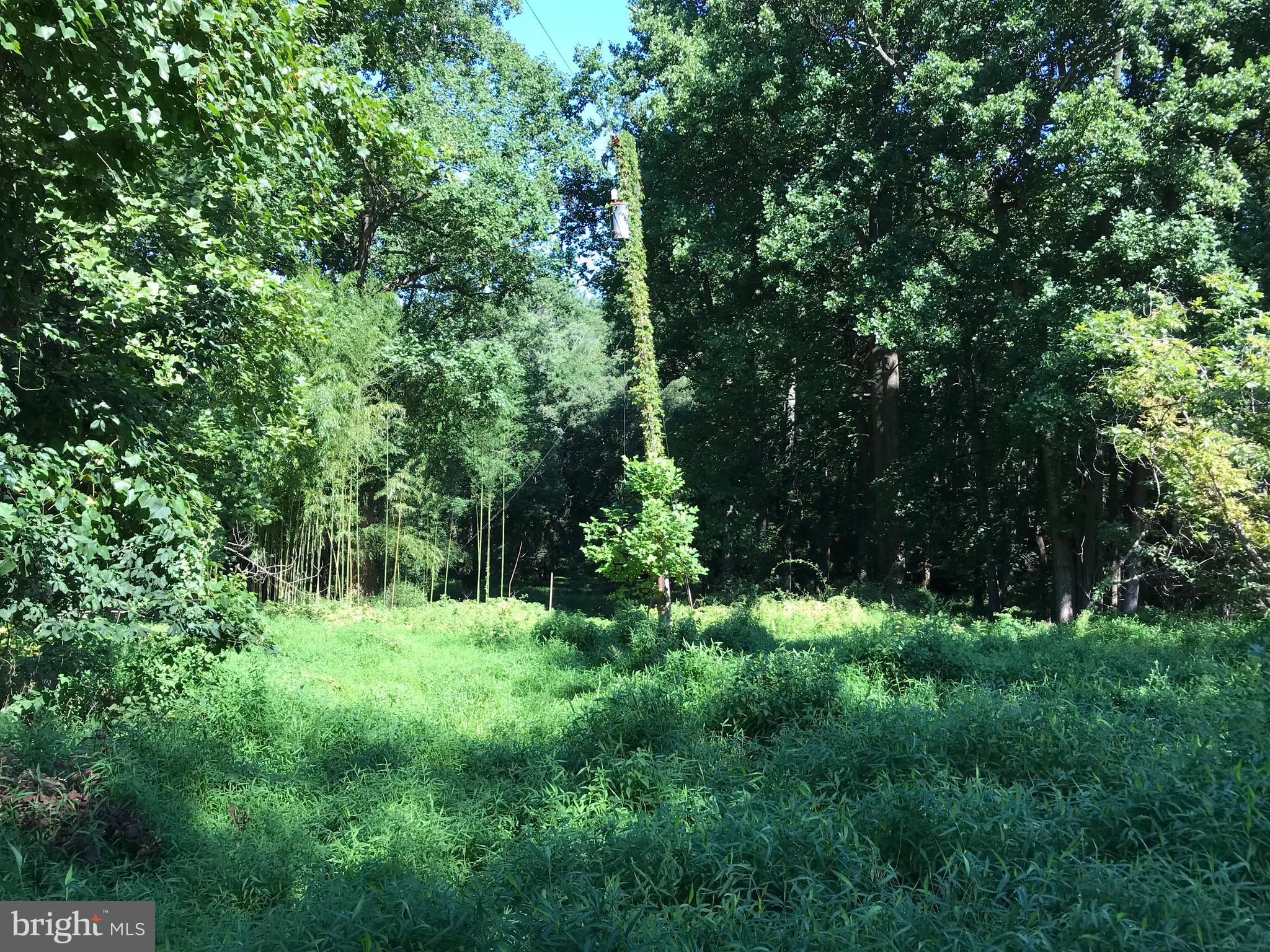 536 Ednor Road Ashton, MD 20861 - Photo 26 of 26 View of Property Acreage