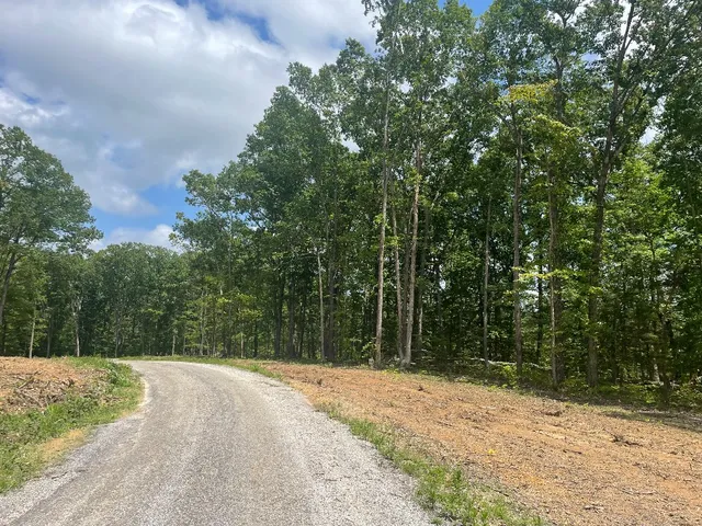 a view of a road with a trees