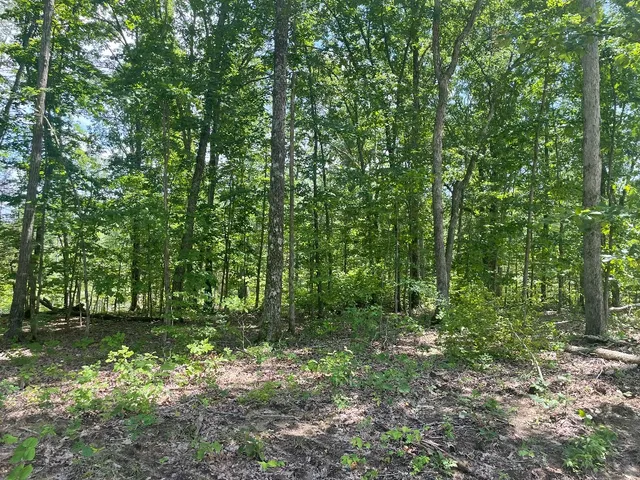 a view of outdoor space and green space