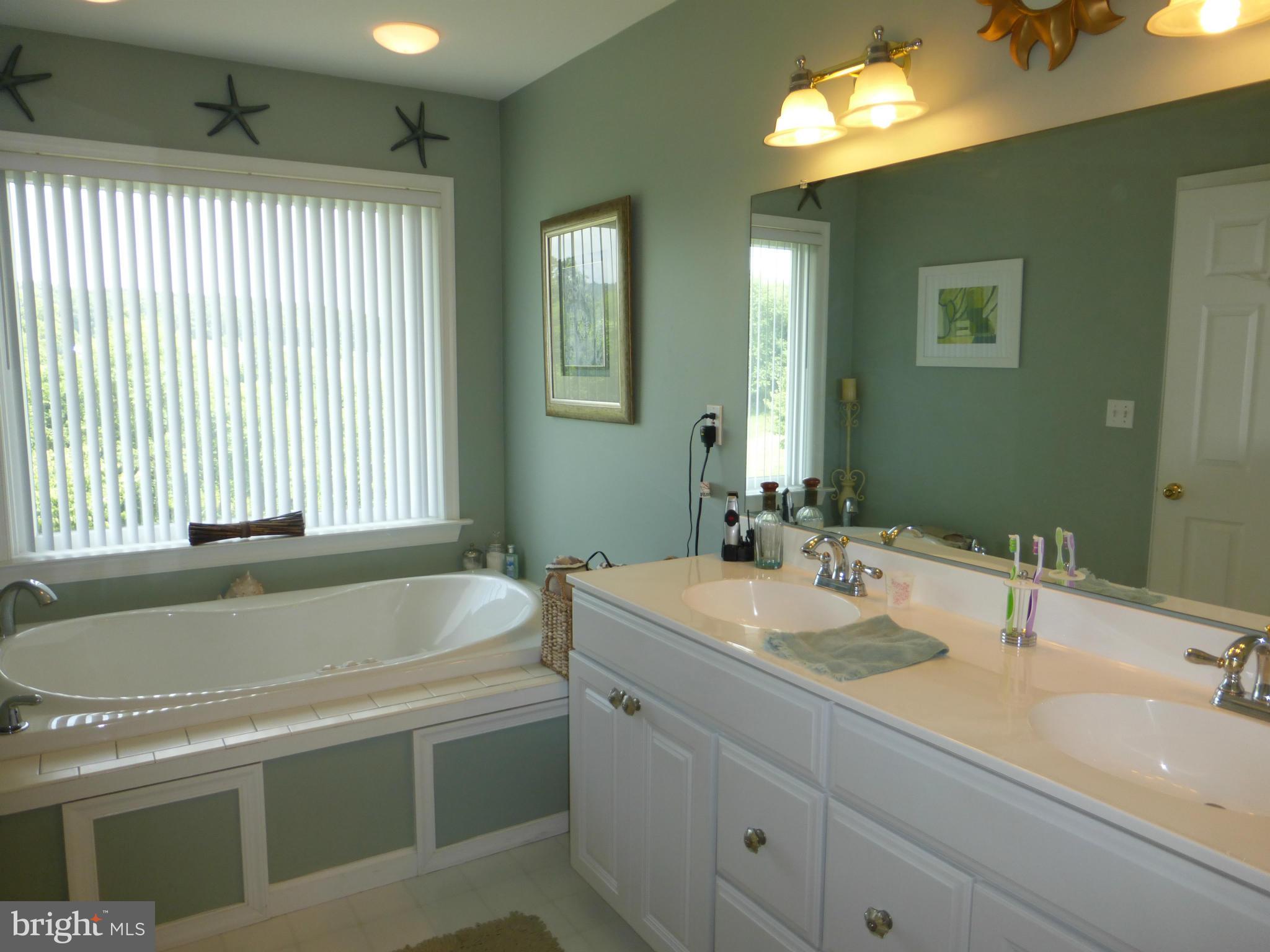 12383 Jesse Smith Road Mount Airy, MD 21771 - Photo 13 of 29 Master Bath w/Double Vanity
