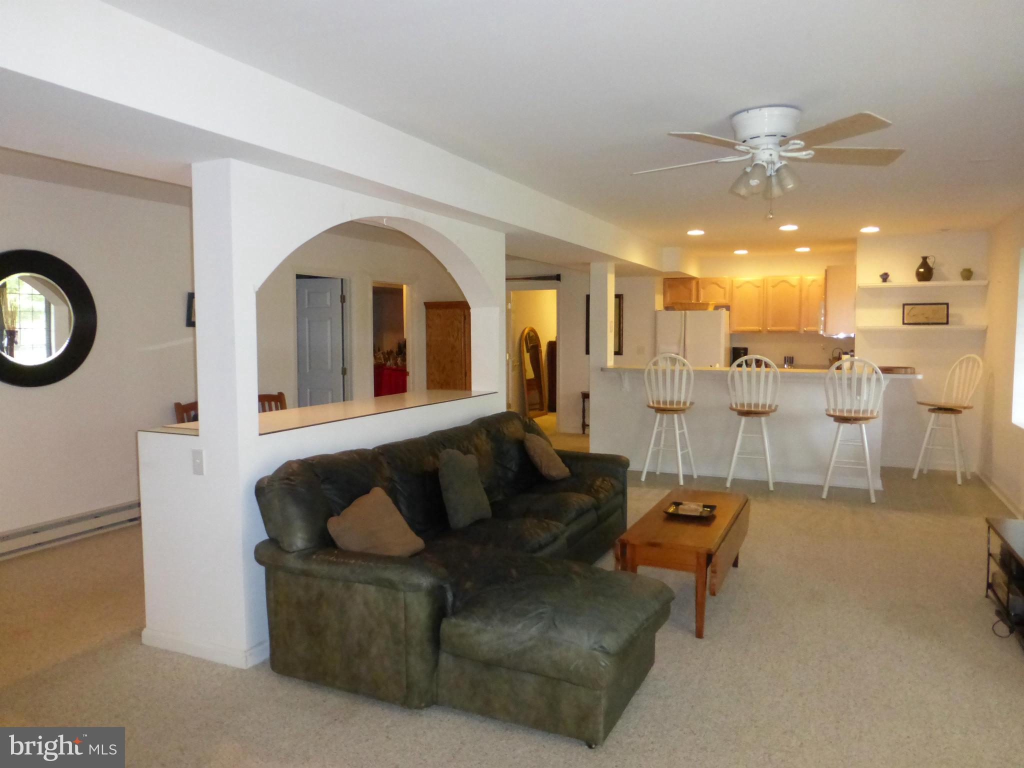 12383 Jesse Smith Road Mount Airy, MD 21771 - Photo 17 of 29 Family Room Lower Level