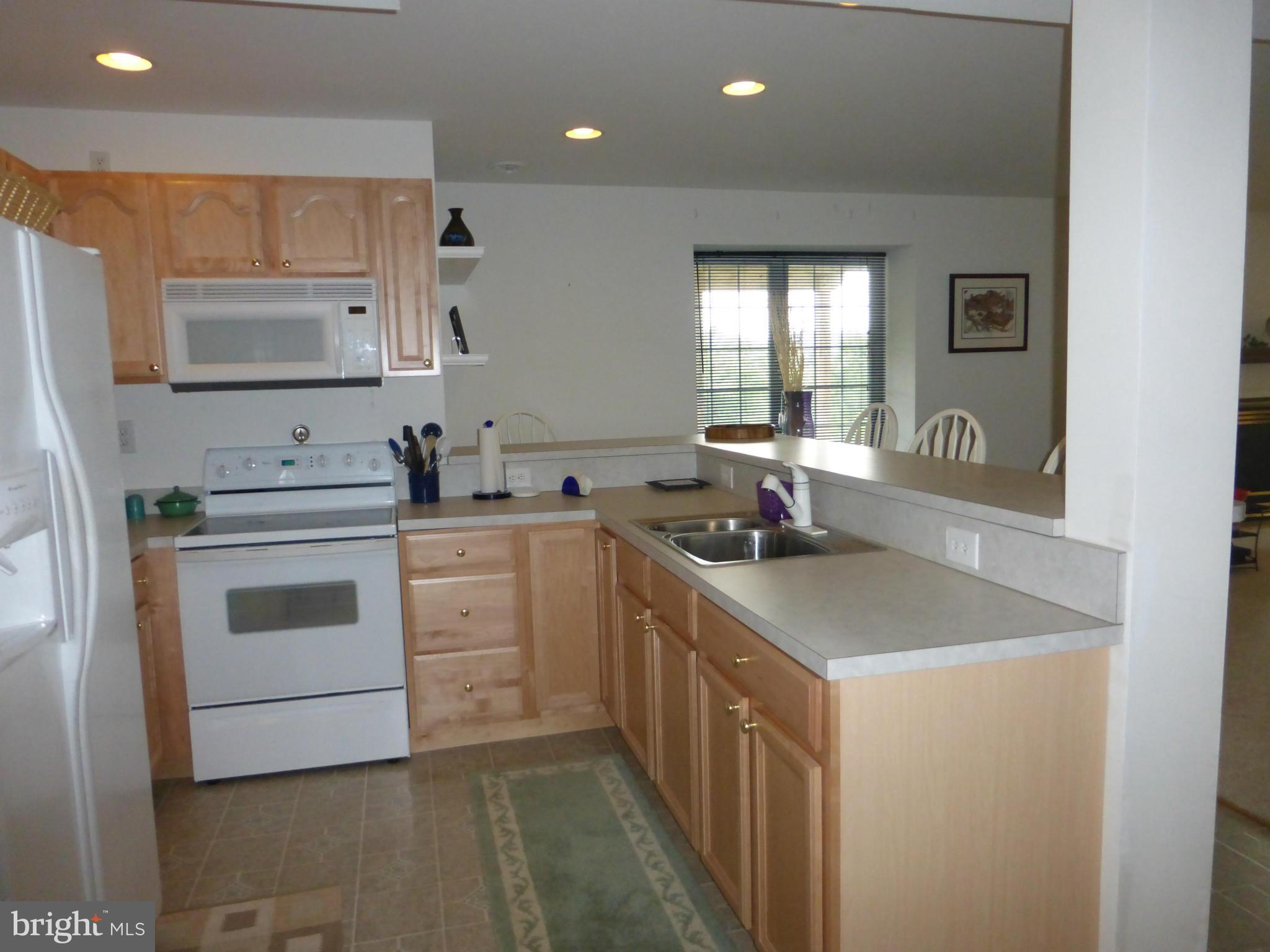 12383 Jesse Smith Road Mount Airy, MD 21771 - Photo 19 of 29 Full Kitchen @ Lower Level Suite
