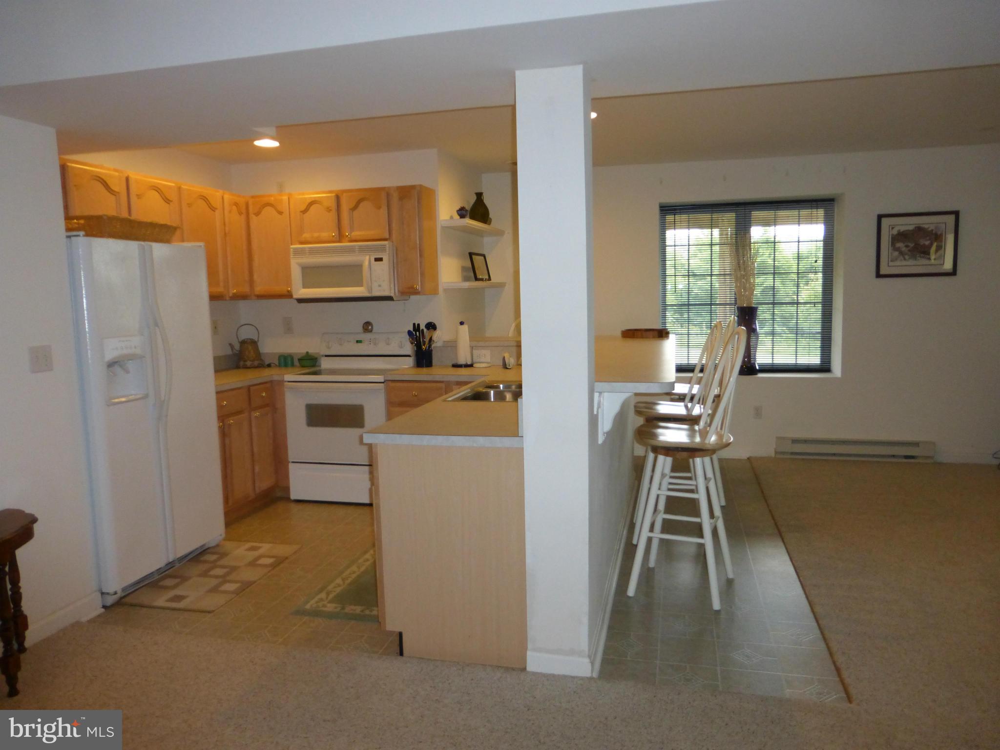 12383 Jesse Smith Road Mount Airy, MD 21771 - Photo 20 of 29 Kitchen @ Lower Level