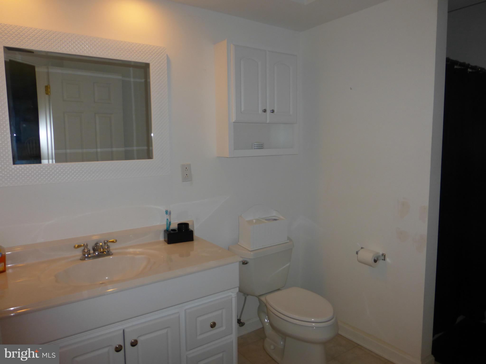 12383 Jesse Smith Road Mount Airy, MD 21771 - Photo 24 of 29 Bath Lower Level w/sep Laundry