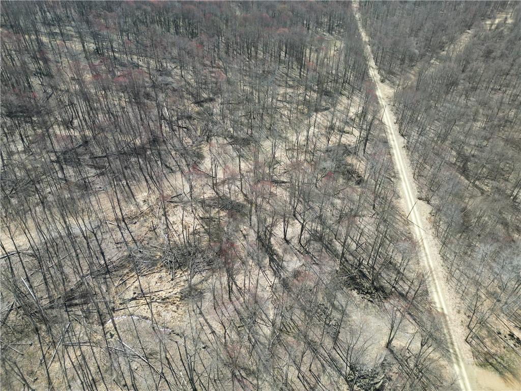 1927 Braughler Road Rochester Mills, PA 15771 - Photo 8 of 21 a picture of tree