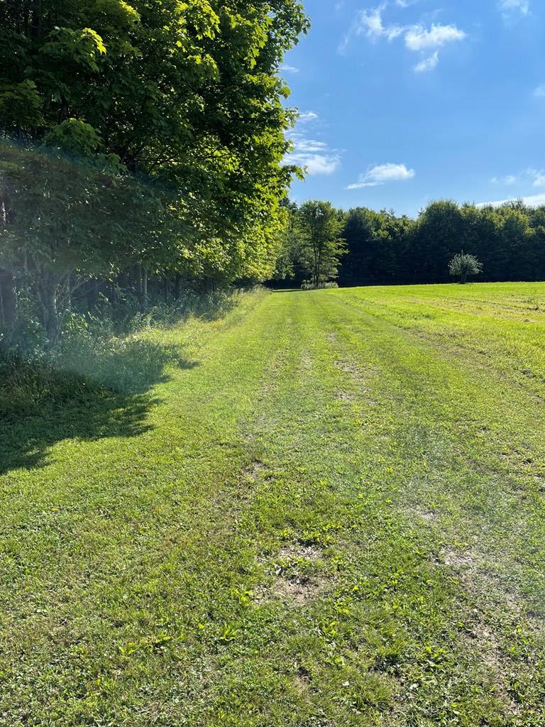 0 Spring Creek Road Grand Valley, PA 16420 - Photo 2 of 5